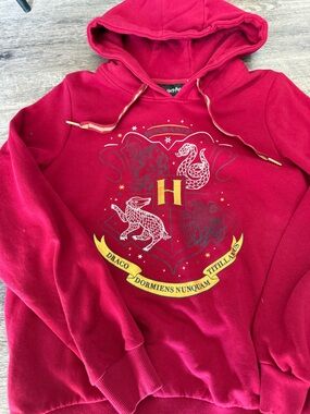 Warner Bros. Red Harry Potter Hooded Sweatshirt with Gold Accent